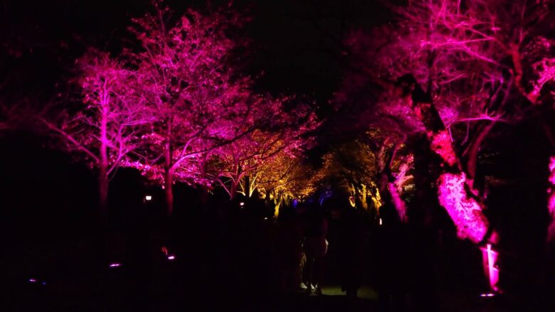 チームラボ 金沢城 光の祭のライトアップ