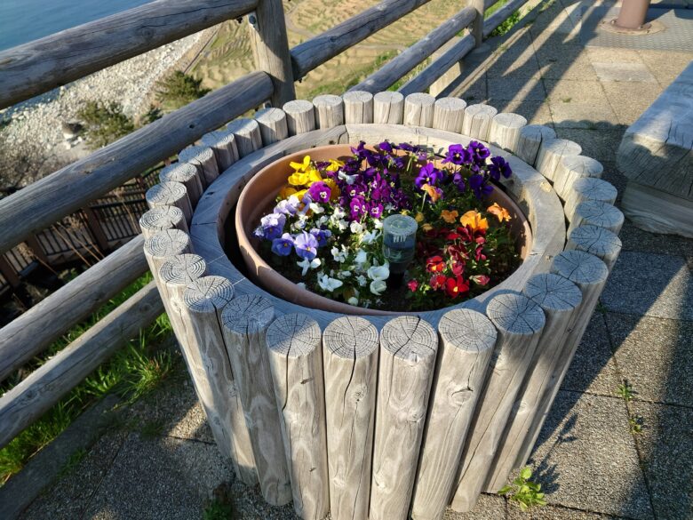 能登半島地震後の春の白米千枚田・道の駅 千枚田ポケットパークの手入れされている花壇