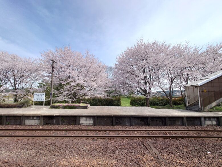 能登中島駅の線路と桜