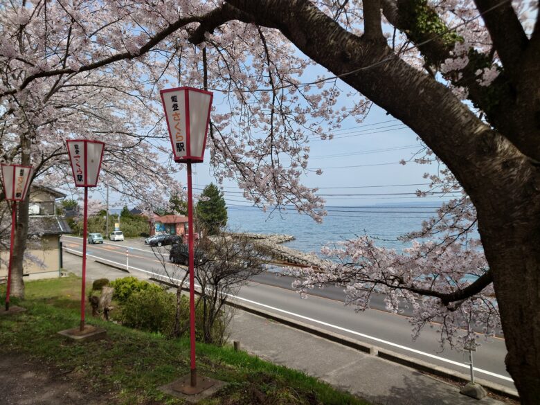 能登鹿島駅の桜と七尾湾