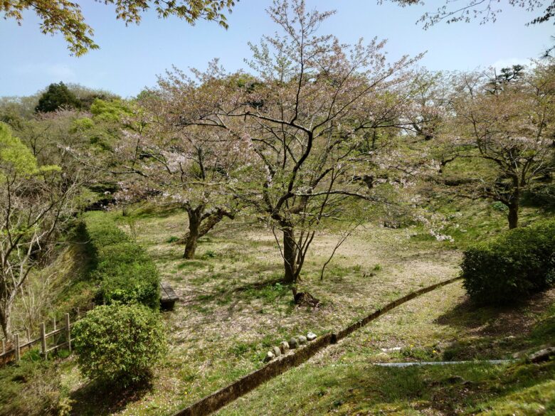 朝日山公園の桜スポット