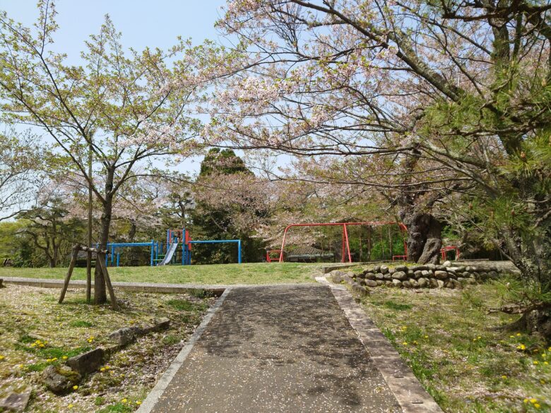 朝日山公園の桜のトンネル