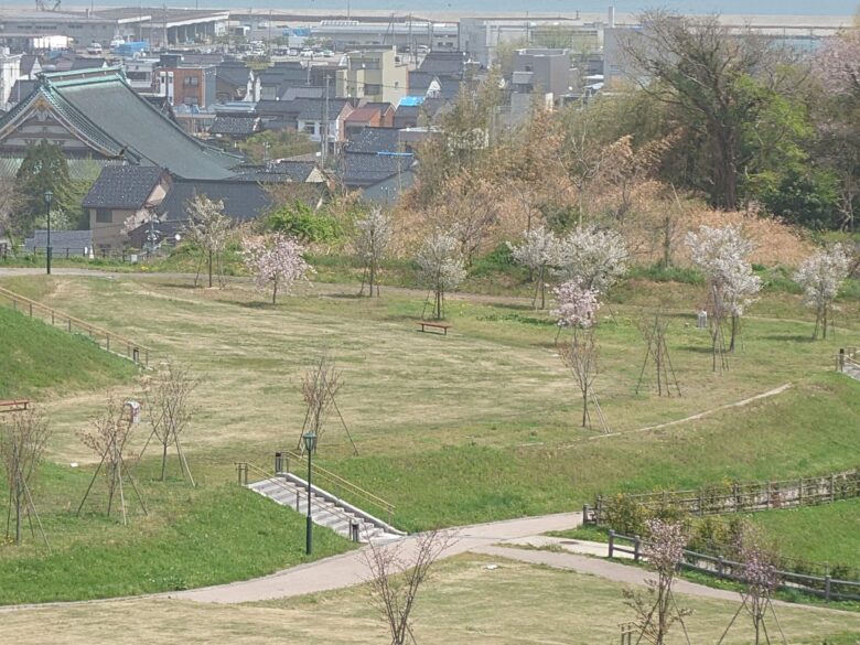 朝日山公園見晴らしの丘の緑の広場