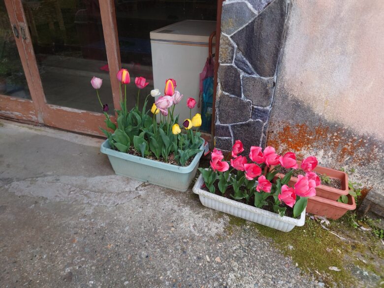 神代温泉の玄関前の花壇