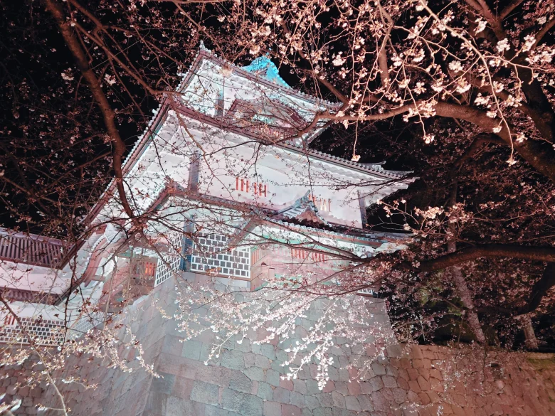 夜桜の金沢城公園