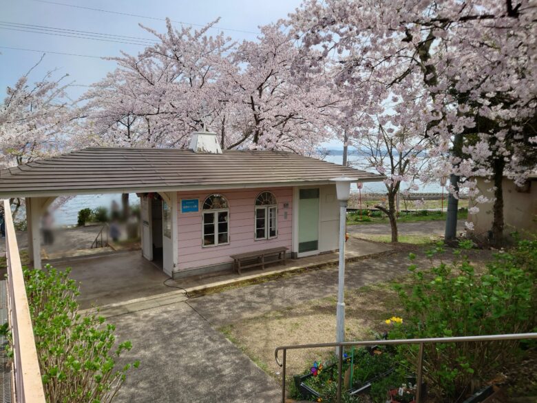 能登鹿島駅の桜と駅舎
