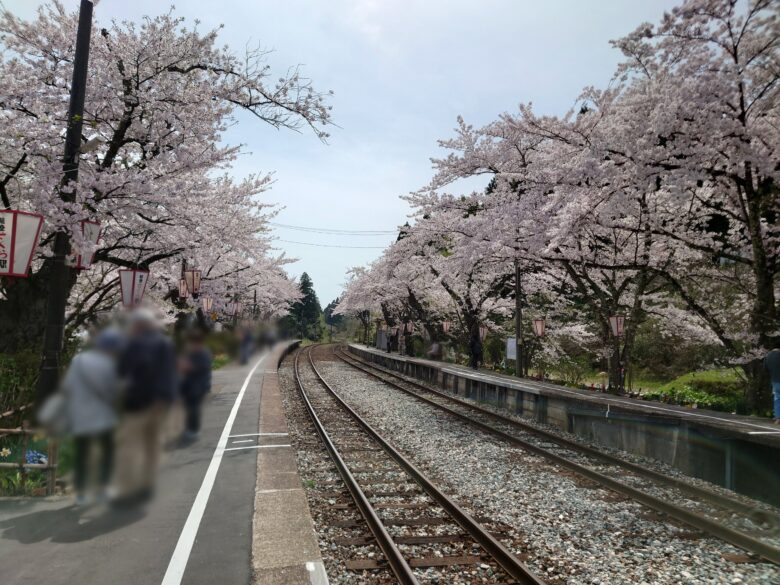 能登鹿島駅の桜と線路