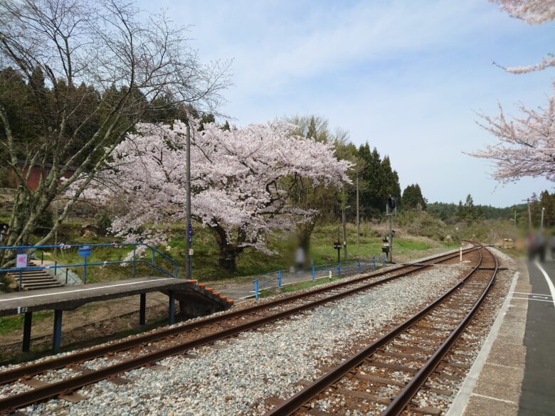 能登鹿島駅の桜と線路