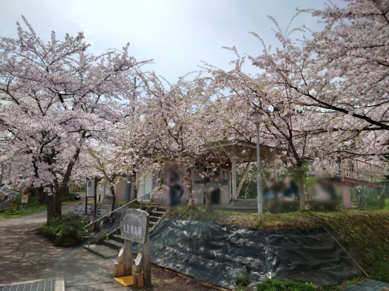 能登鹿島駅の駅舎と桜