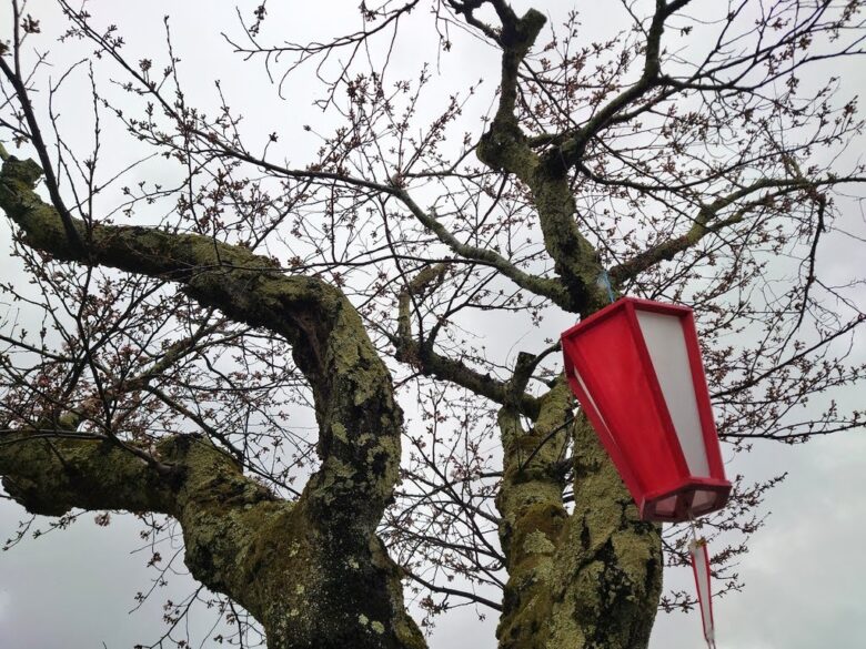 奥能登国際芸術祭の珠洲海道五十三次のバス停の浦の桜の木