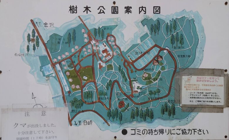 林業試験場樹木公園（創造の森）の樹木公園案内図