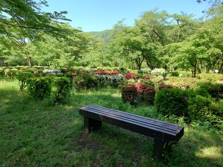 林業試験場樹木公園（創造の森）のツツジコーナー