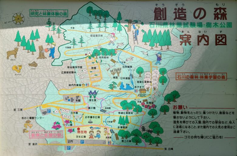 林業試験場樹木公園（創造の森）の創造の森案内図