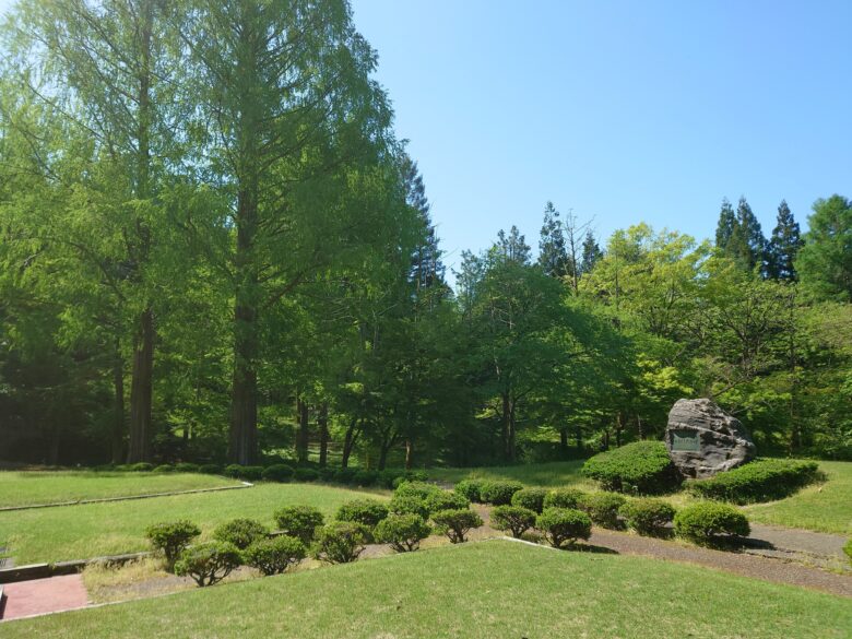 林業試験場樹木公園（創造の森）のお手播き広場