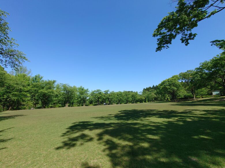 林業試験場樹木公園（創造の森）の芝生広場