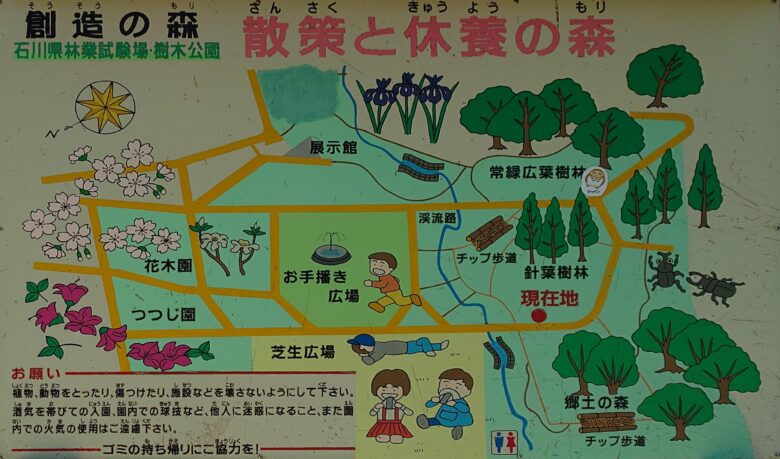 林業試験場樹木公園（創造の森）の散策と休養の森の案内図