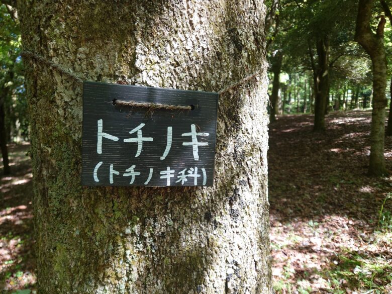 林業試験場樹木公園（創造の森）の樹木の名称掲示