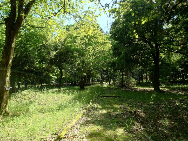 林業試験場樹木公園（創造の森）のチップ歩道