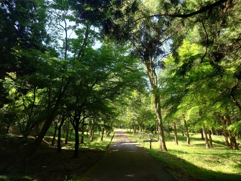 林業試験場樹木公園（創造の森）の散歩道