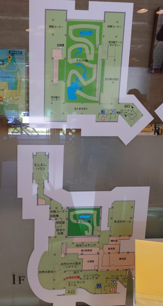 石川県ふれあい昆虫館の案内図