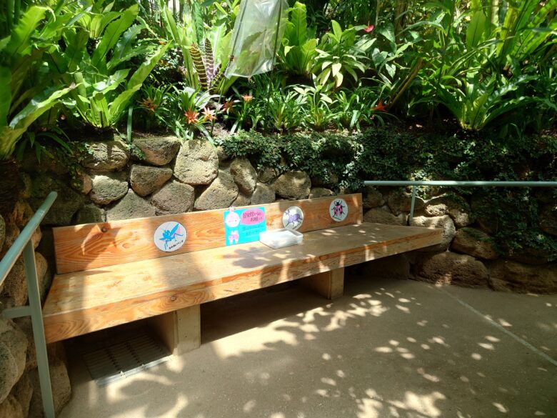 石川県ふれあい昆虫館のチョウの園のベンチ