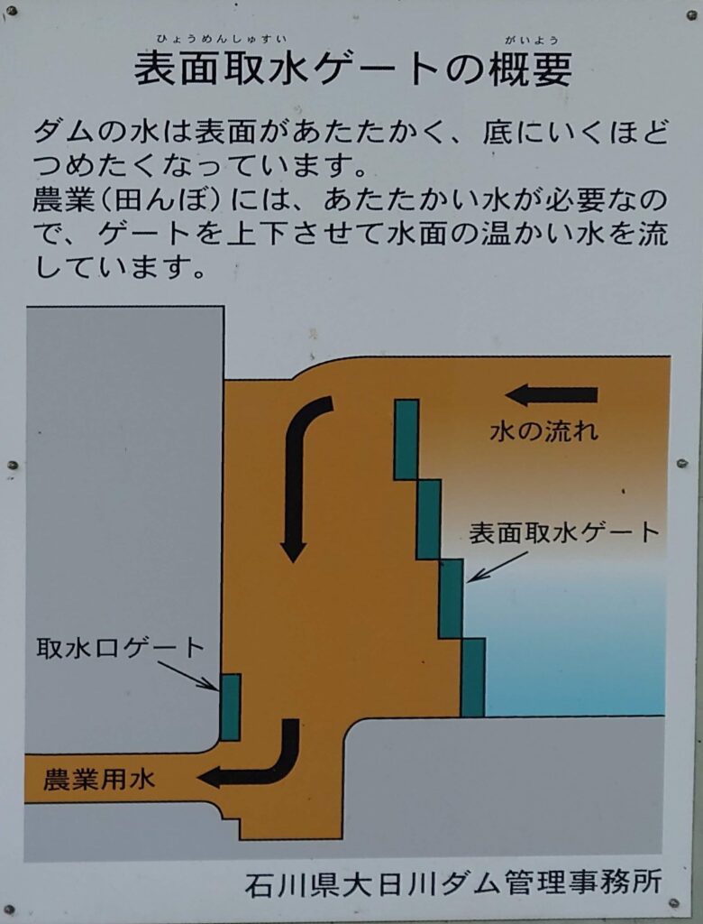 大日川ダムの表面取水ゲートの概要