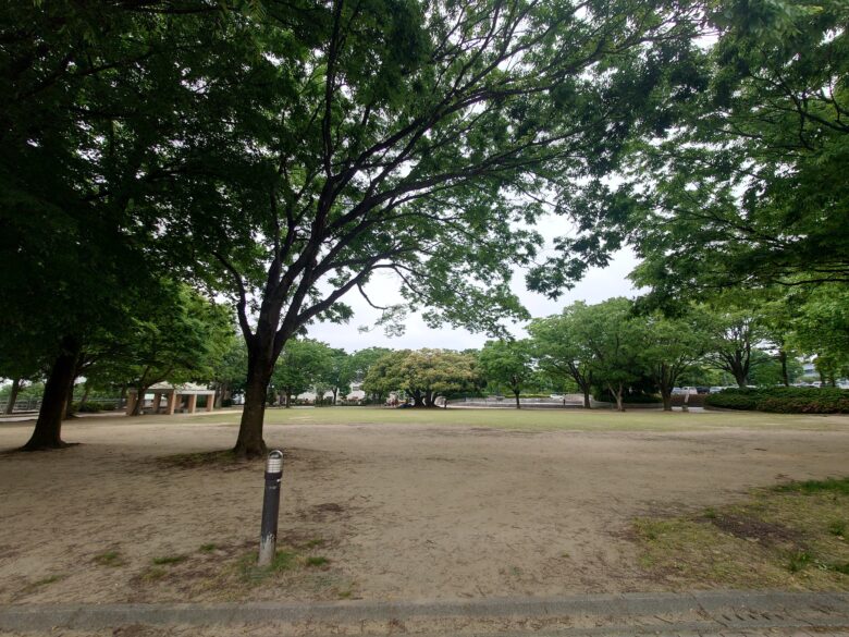 金沢南総合運動公園 バラ園の横の広場