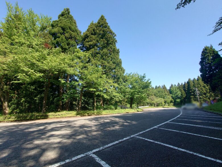 林業試験場樹木公園（創造の森）の駐車場（林業試験場側）