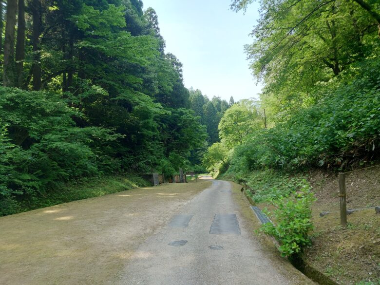 県民公園頼成の森の散策路