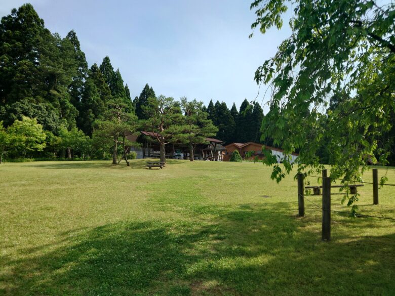 県民公園頼成の森の森林科学館の芝生広場
