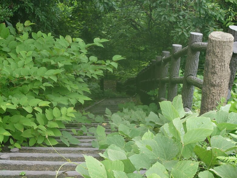 八ケ川ダムふれあい広場からの遊歩道