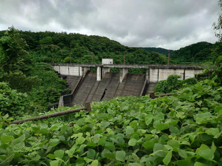 ふれあい広場から見た八ケ川ダム