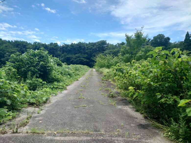 宮田防災ダムの橋