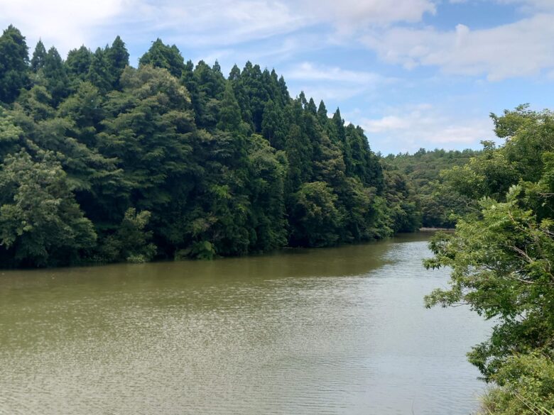 宮田防災ダムの水