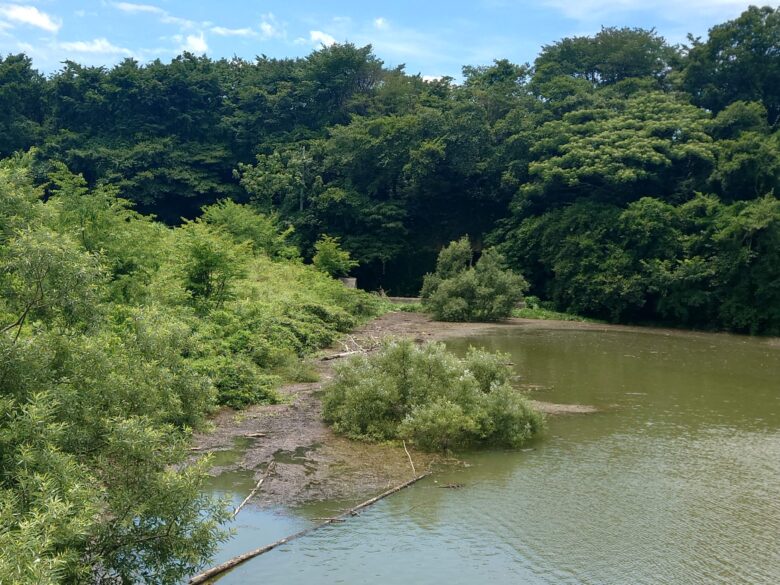 宮田防災ダムの溜まっている水