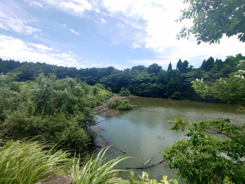 宮田防災ダムの水