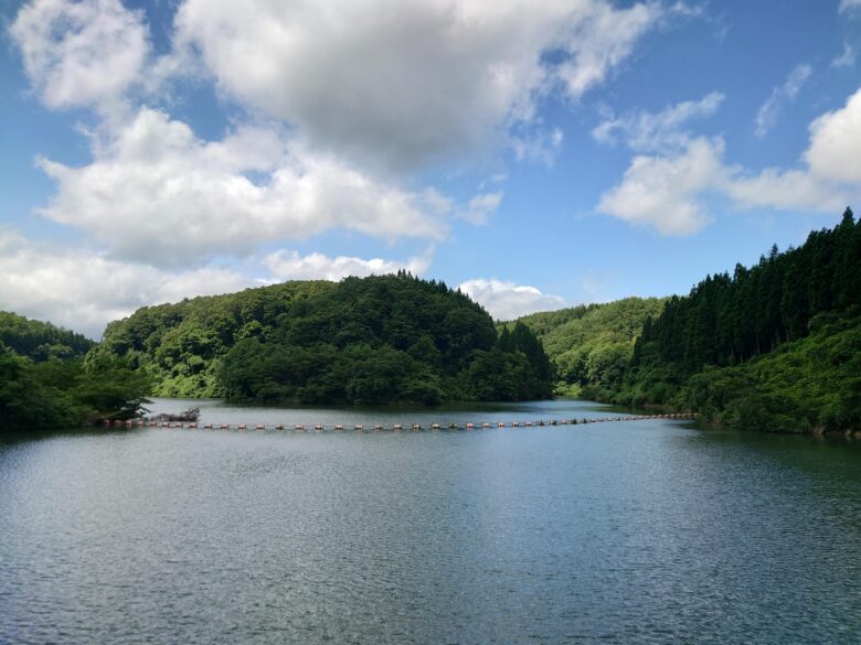 寺田川ダムの水いっぱい