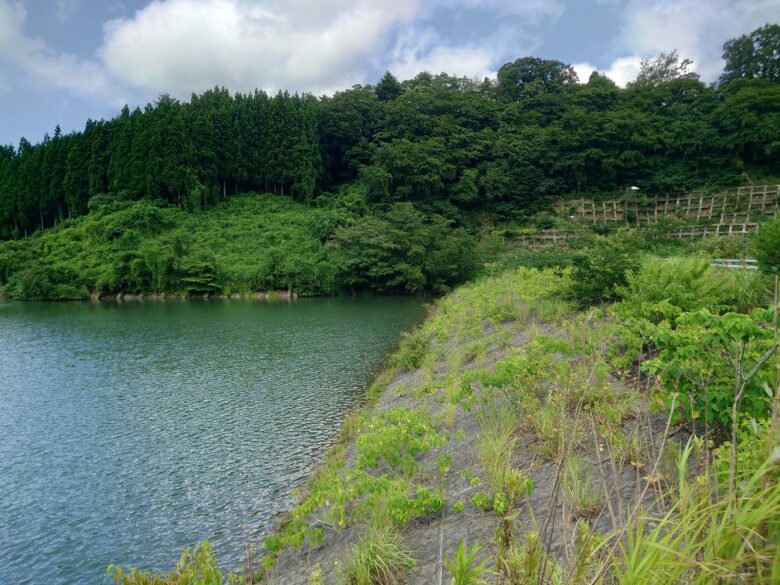 寺田川ダムの上流