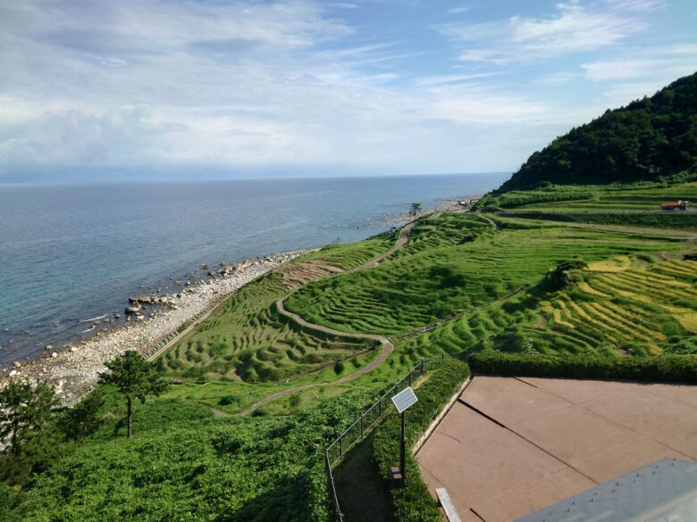 能登半島地震後の千枚田