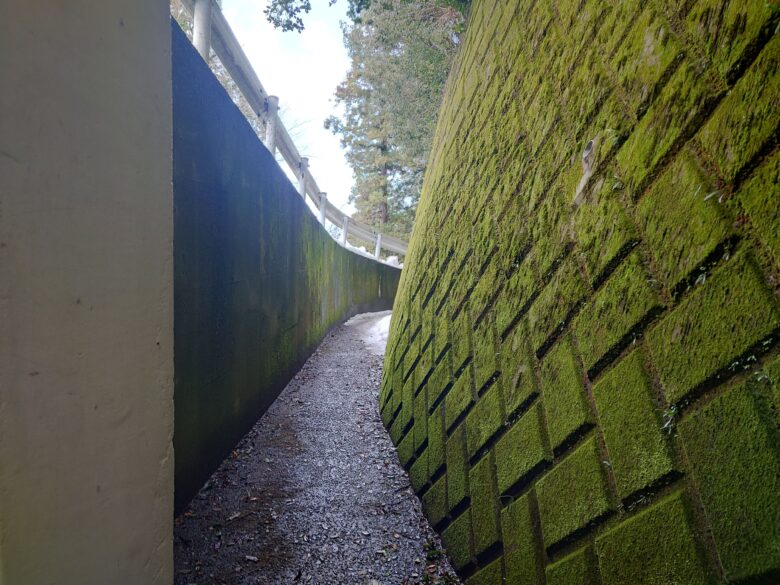 金劔宮の地下道からの細道