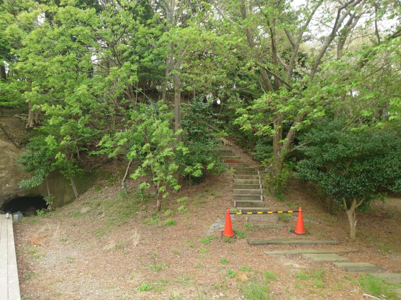 わくたまくんパークの展望台への散歩道