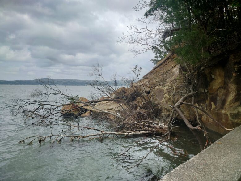 わくたまくんパークの七尾湾の海辺の土砂崩れ