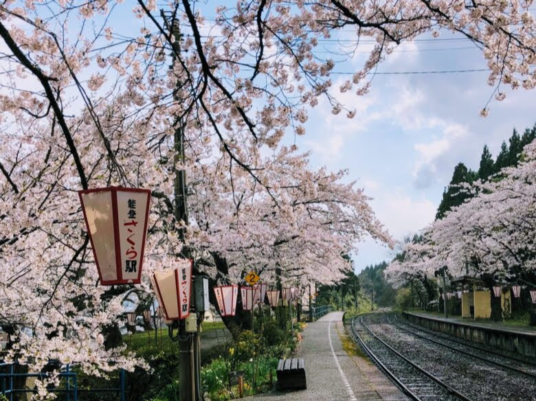 能登鹿島駅の桜