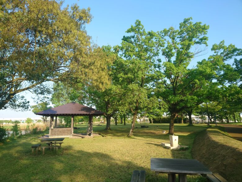 木場潟公園 北園地の芝生
