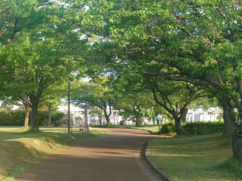 木場潟公園 北園地の散歩道