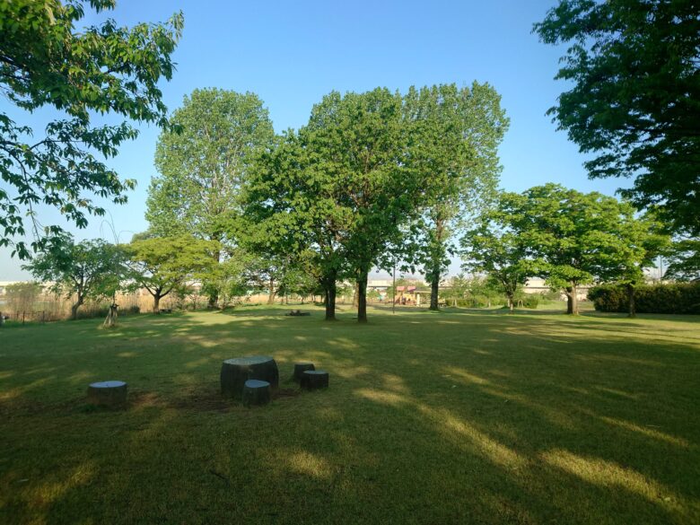 木場潟公園 北園地の芝生