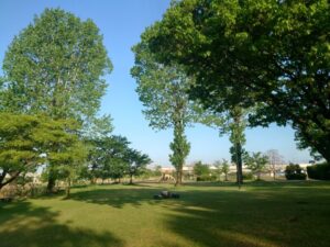 木場潟公園 北園地の綺麗な芝生
