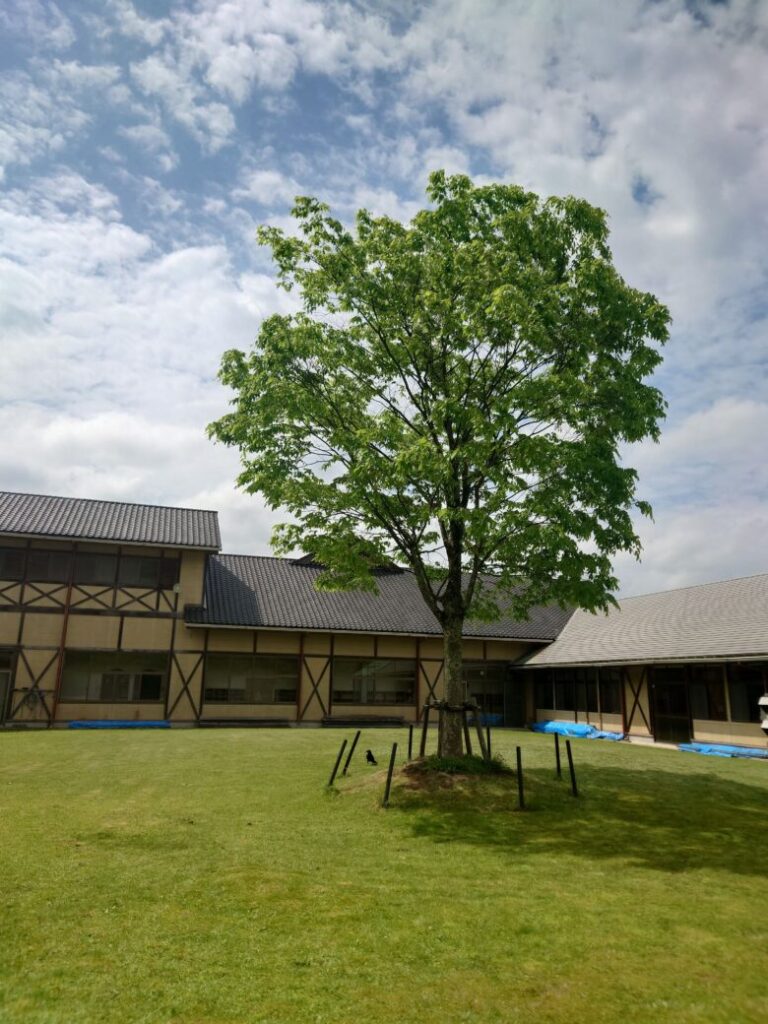 せせらぎ温泉 瀬領の広場の樹