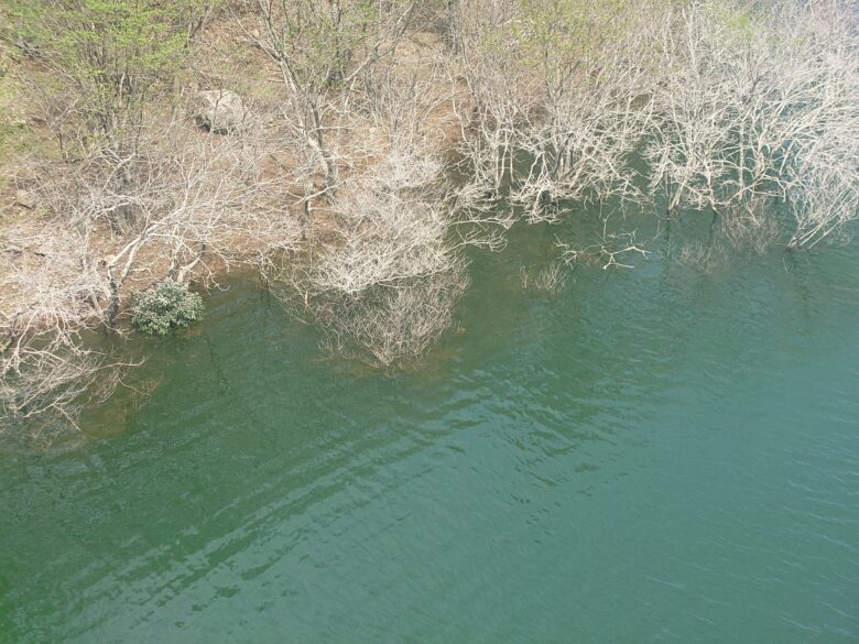 日置大橋の下の水の透明度