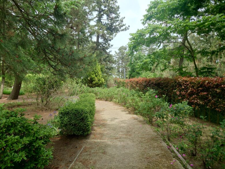 氷見市海浜植物園 シーサイドパークのふれあい園の通路